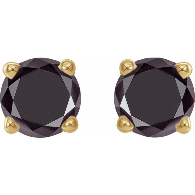 14K Yellow 1/2 CTW Natural Black Diamond Stud Earrings