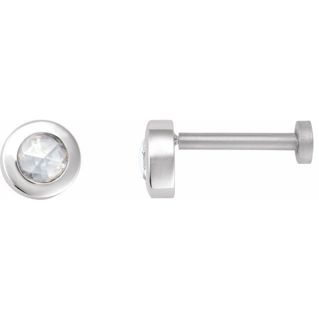 14K White 1/10 CT Rose-Cut Natural Diamond Press Fit Back Stud Earring