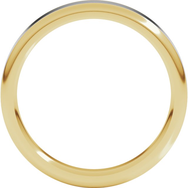 14K Yellow/White 4 mm Flat Band with Round Edge Size 10