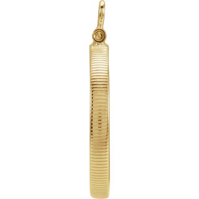 14K Yellow Coin Frame Bezel Dangle for 21.1x2 mm Coin