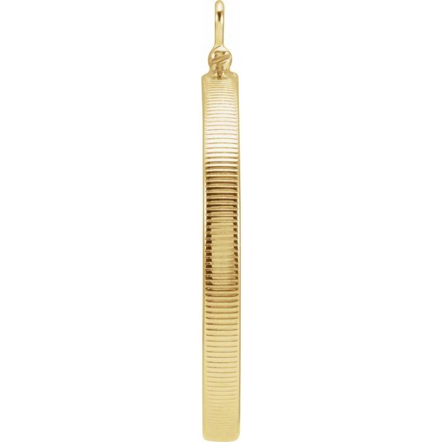 14K Yellow Coin Frame Bezel Dangle for 30.5x2.1 mm Coin