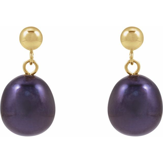 14K Yellow Cultured Black Freshwater Pearl Earrings