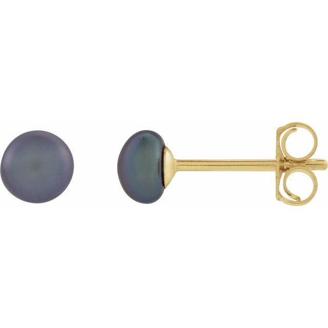 14K Yellow Cultured Black Freshwater Pearl Earrings