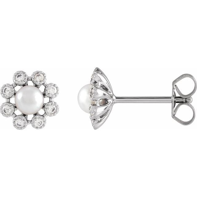 14K White Cultured White Freshwater Pearl & 1/8 CTW Natural Diamond Earrings