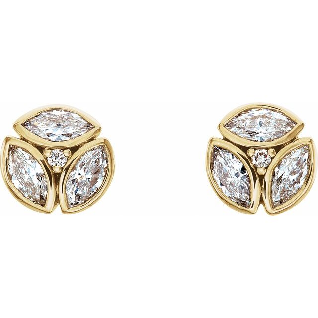 14k Yellow 1/2 Ctw Natural Diamond Earrings