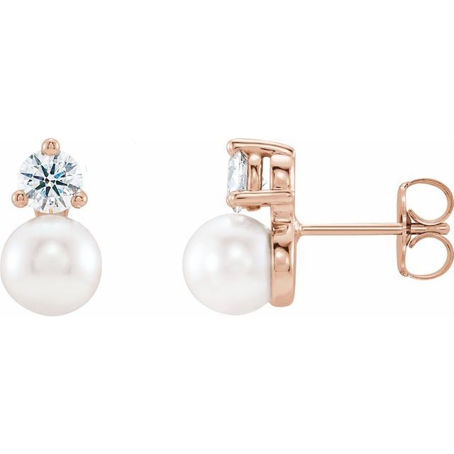 14k Rose Cultured White Freshwater Pearl & 1/2 Ctw Natural Diamond Earrings