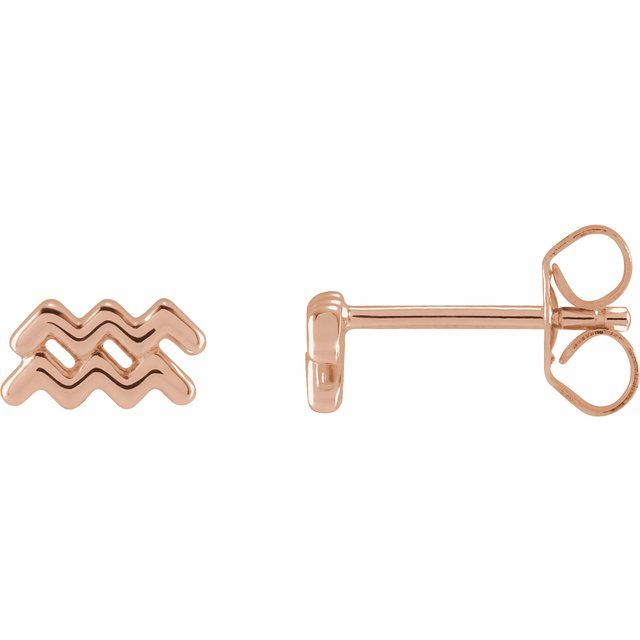 14K Rose Aquarius Zodiac Earrings