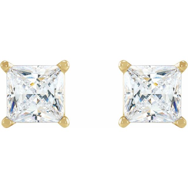 14K Yellow 1/2 CTW Natural Diamond Earrings