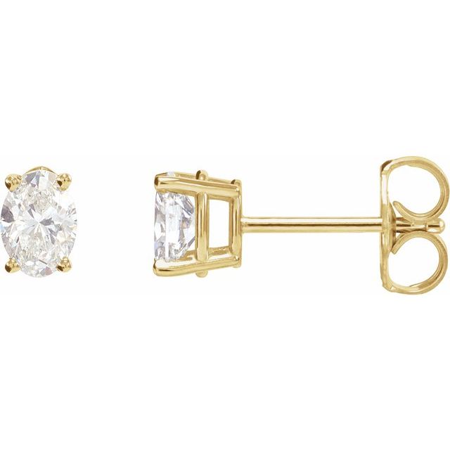 14K Yellow 3/4 CTW Natural Diamond Earrings