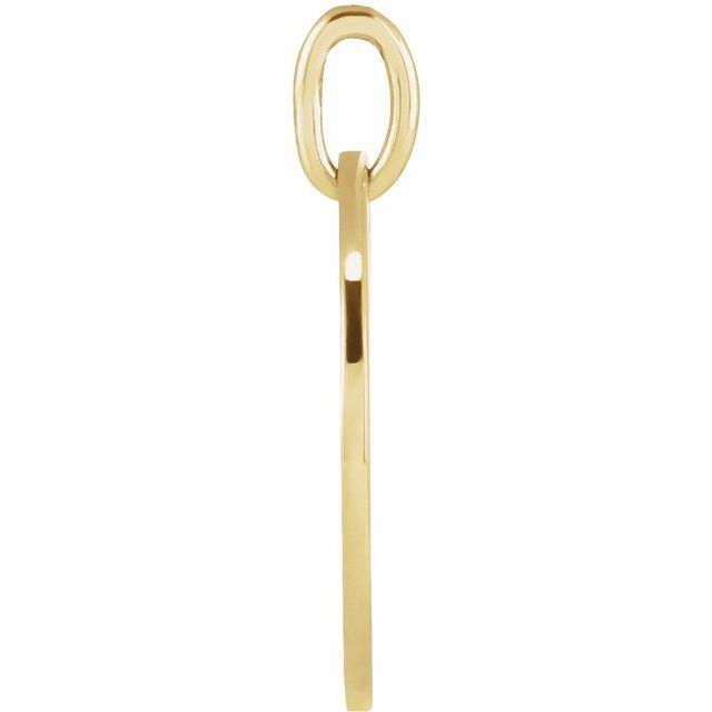 14K Yellow 19.2x15 mm Earth Cutout Pendant