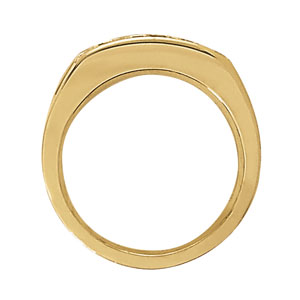 Gents Ring Channel Bands