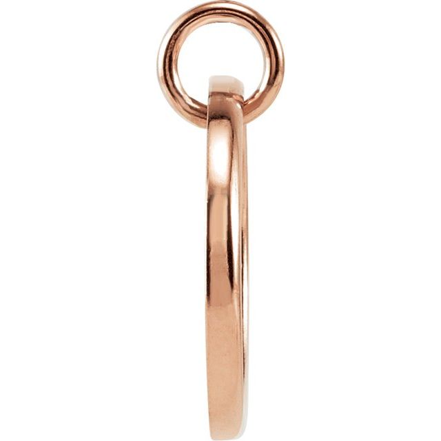 14K Rose 1/10 CTW Natural Diamond Posh Mommy® Initial S Pendant