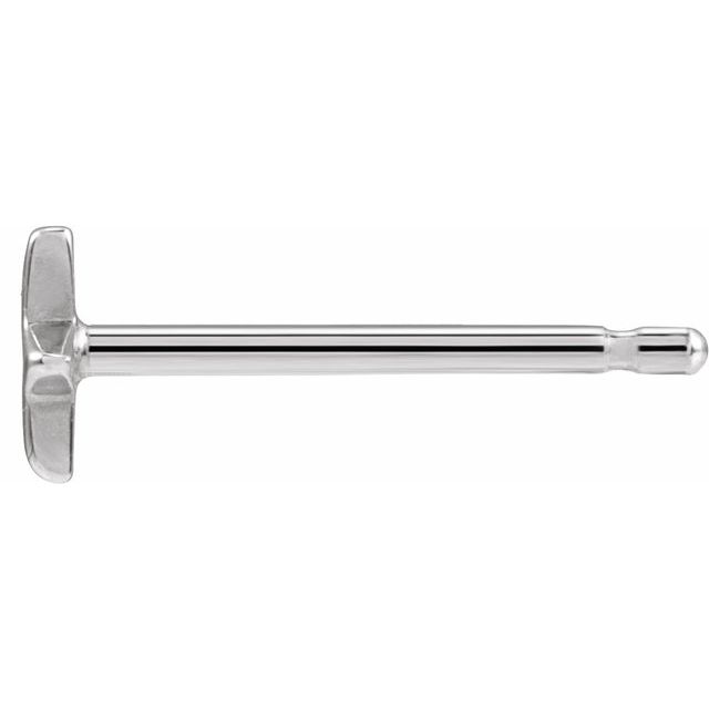 Platinum 4 Mm Star Friction Post Earring