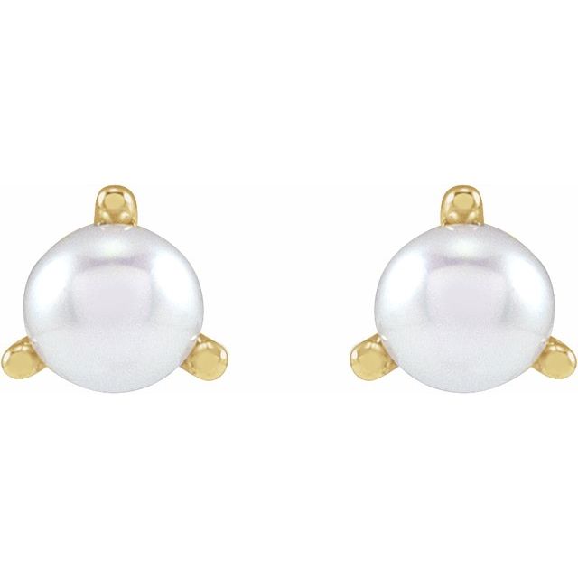 14K Yellow 3.5 mm Cultured White Seed Pearl Earrings