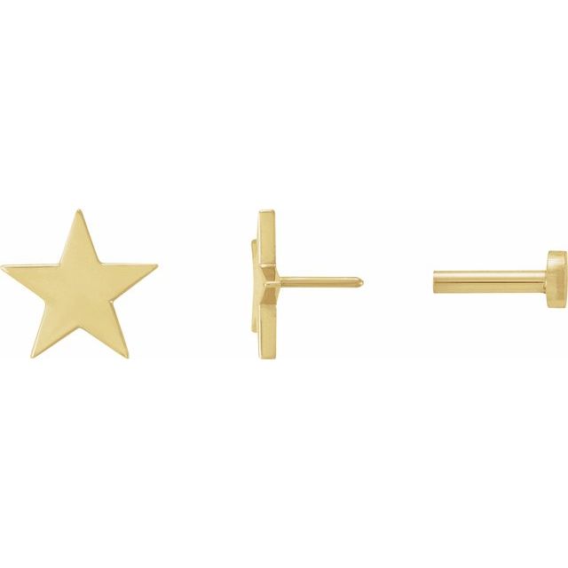 14K Yellow 6.2 mm Star 6mm/8mm Press Fit Earrings