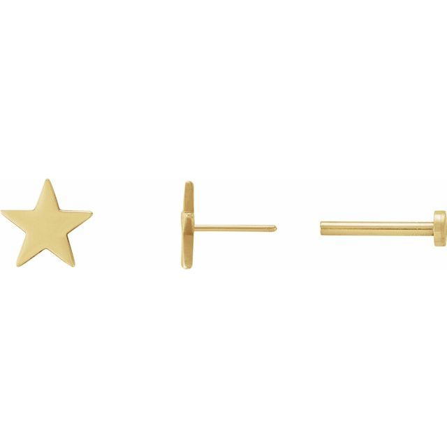 14K Yellow 6.2 mm Star 4mm/5mm Press Fit Earring