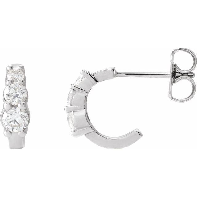 14K White 1/3 CTW Natural Diamond Hoop Earrings
