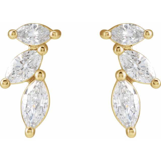 14K Yellow 1/3 CTW Natural Diamond Nature-Inspired Earrings