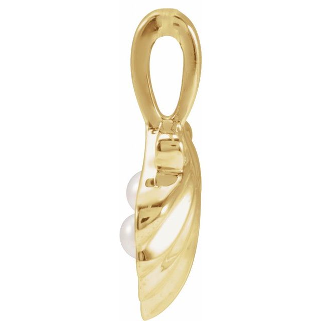 14K Yellow 2-Stone Cultured White Seed Pearl Family Shell Pendant