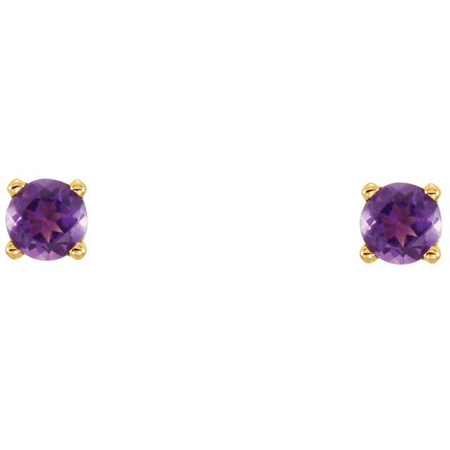 14K Yellow Natural Amethyst Youth Earrings
