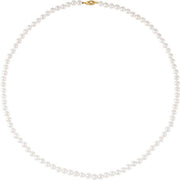 14K Yellow Cultured White Akoya Pearl 24' Necklace