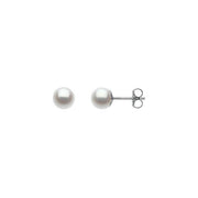 14K White Cultured White Freshwater Pearl Earrings