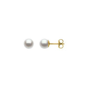 14K Yellow Cultured White Freshwater Pearl Earrings