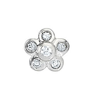 Pendants Cluster