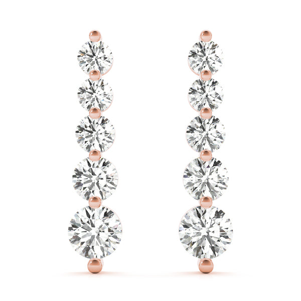 Earrings Journey