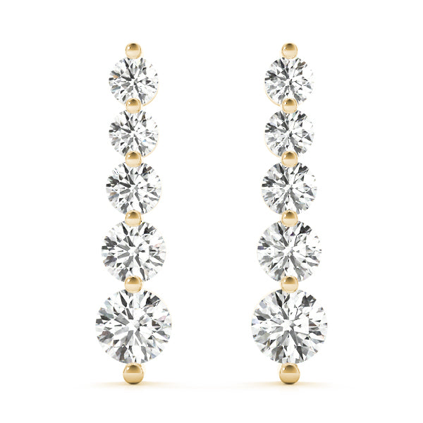 Earrings Journey