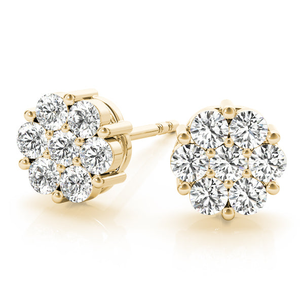 Earrings Cluster