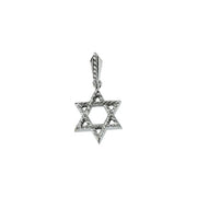 14K White 20.5x17.75 mm Star of David Pendant