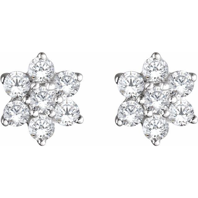 14k White 3/8 Ctw Natural Diamond Flower Earrings