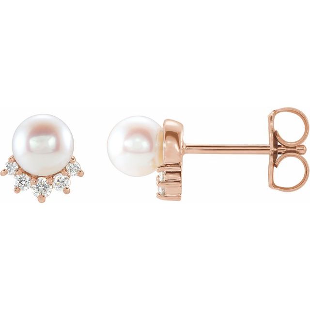 14k Rose Cultured White Freshwater Cultured Pearl & .08 Ctw Natural Diamond Earrings