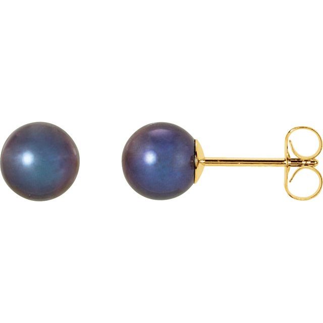 14K Yellow Panache® Cultured Black Freshwater Pearl Stud Earrings