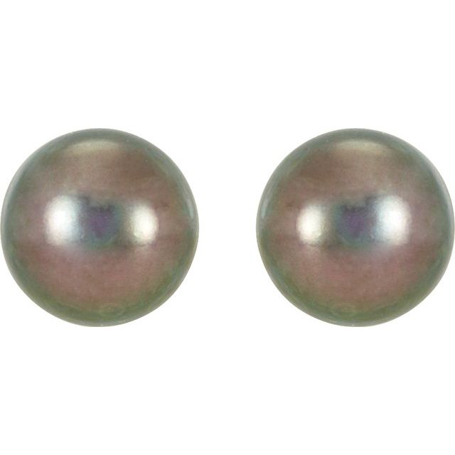 14K Yellow Panache® Cultured Black Freshwater Pearl Stud Earrings