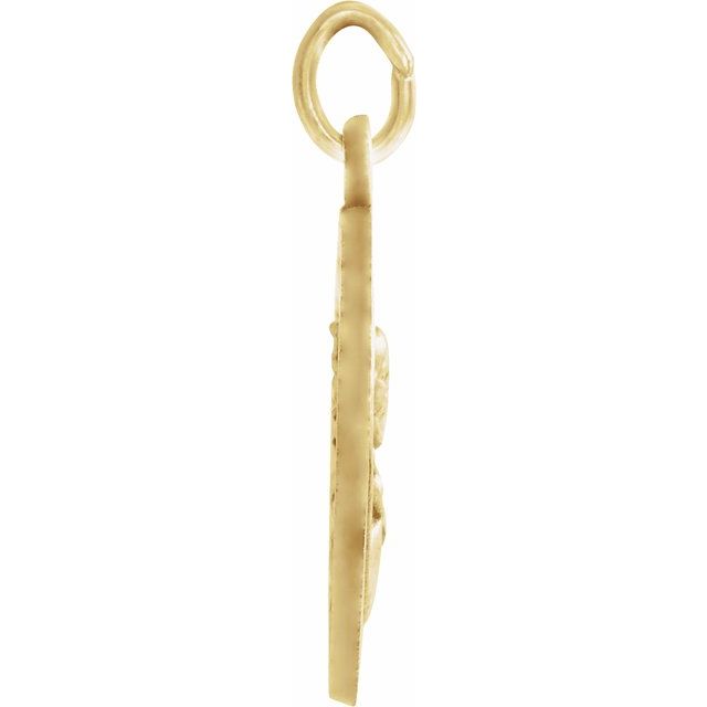 14K Yellow 12 mm Round Scapular Medal