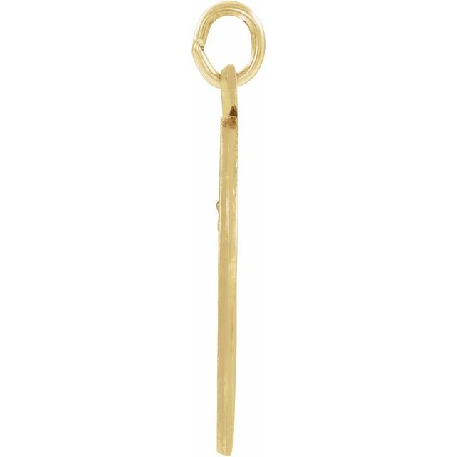 14K Yellow 12 mm Our Lady of Mount Carmel Medal Pendant