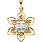 14K Yellow/White 28.2x21 mm Star of David Pendant