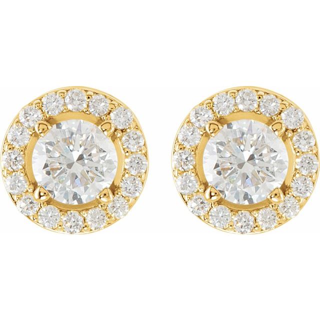 14K Yellow 1 1/3 CTW Lab-Grown Diamond Halo-Style Earrings