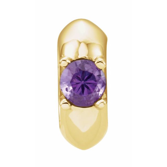 14k Yellow February Birth Of A Child™ Miniature Birthstone Ring Pendant