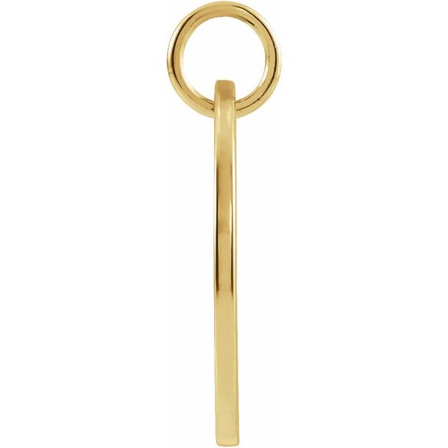 14K Yellow 16.5 mm Scorpio Zodiac Disc Pendant