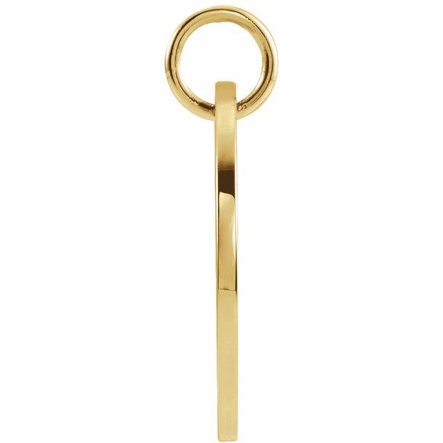 14K Yellow 16.5 mm Pisces Zodiac Disc Pendant