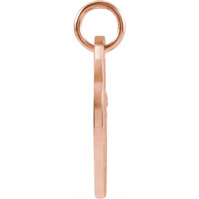 14K Rose 16.5 mm Cancer Zodiac Disc Pendant