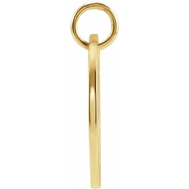 14K Yellow 16.5 mm Leo Zodiac Disc Pendant