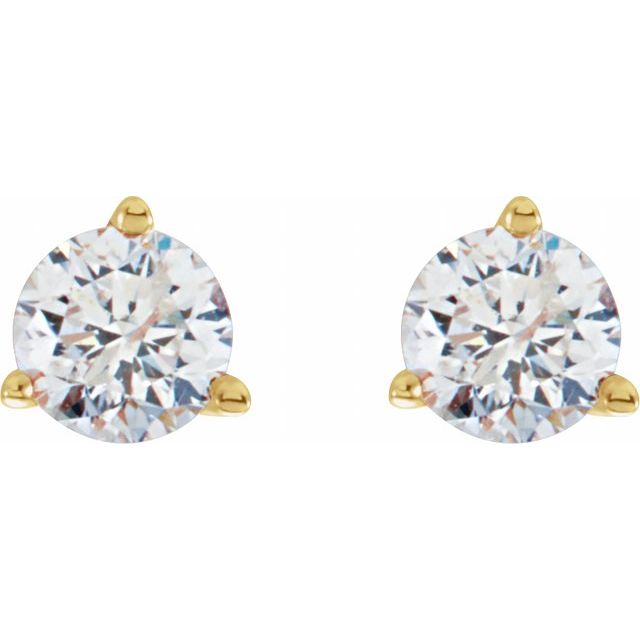 14k Yellow 3/4 Ctw Natural Diamond Stud Earrings