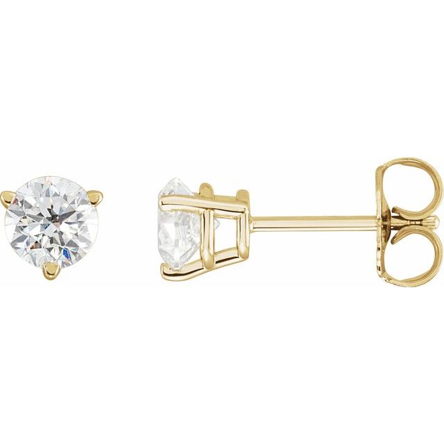 14K Yellow 3/4 CTW Natural Diamond Earrings