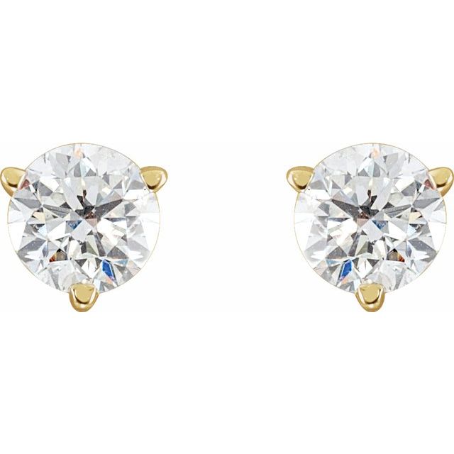 14K Yellow 3/4 CTW Natural Diamond Earrings