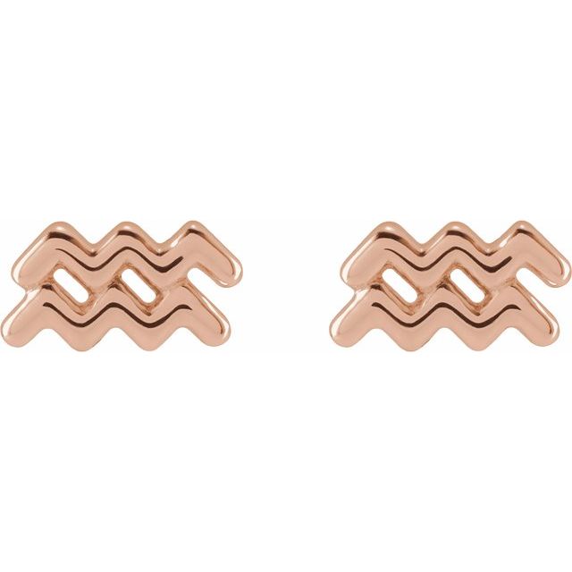 14K Rose Aquarius Zodiac Earrings