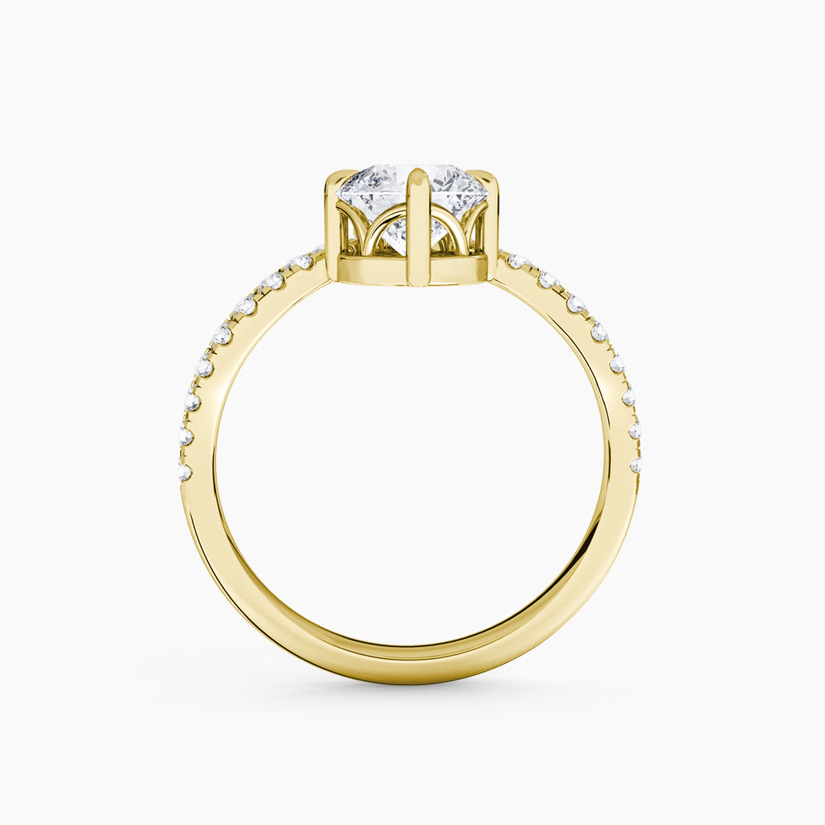 Contemporary Royal